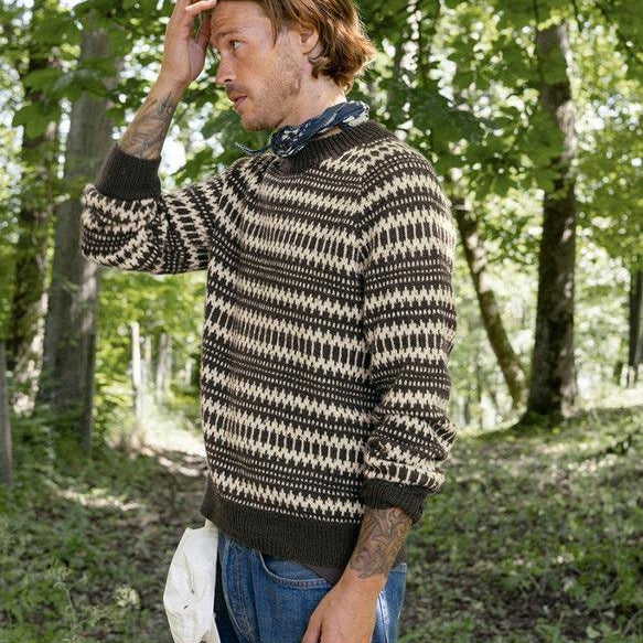 2410 - 05 Kleiva sweater for men - Sandnes Garn