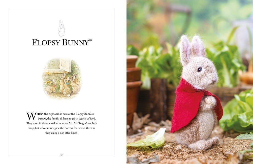 Knitting Peter Rabbit - David and Charles