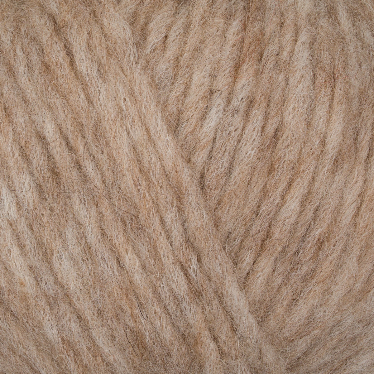 145 - Medium Beige PUNO - Gepard
