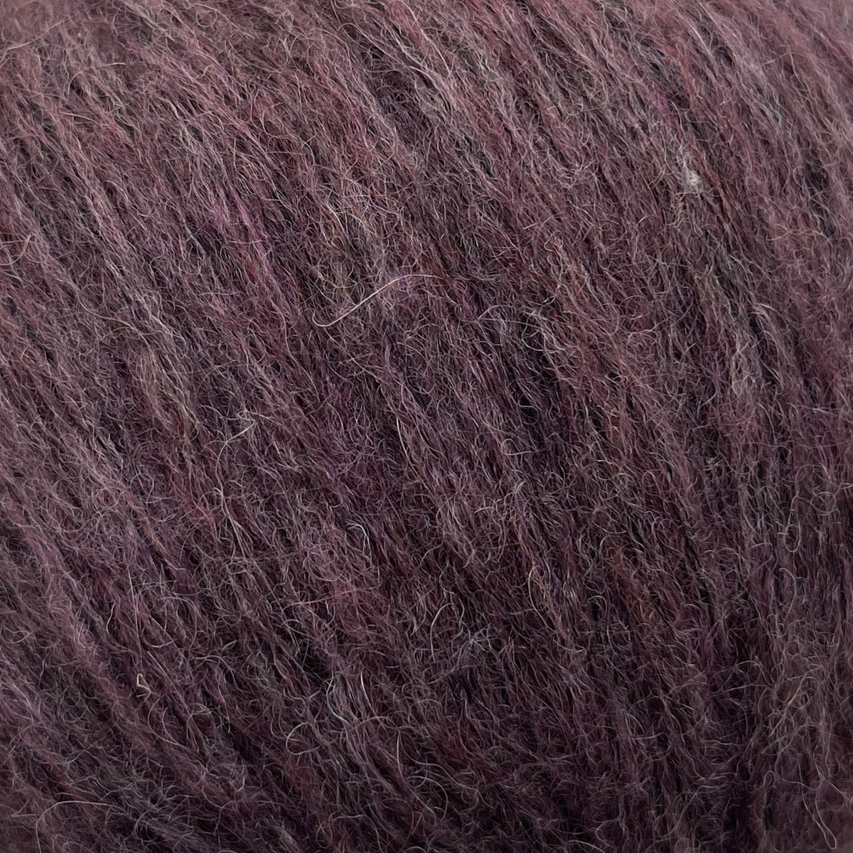 7781 - Aubergine SNEFNUG - Camarose