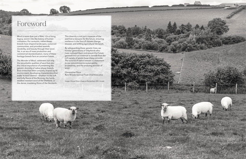 Wonder of Wool - A knitter's guide to pure breed sheep - Justine Lee, Jess Morency - David and Charles