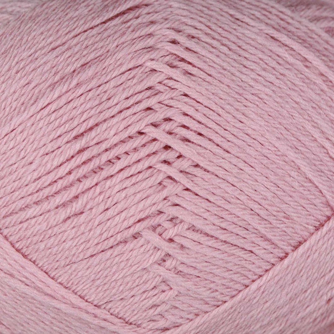 1800 - Rosa YAKU - Camarose