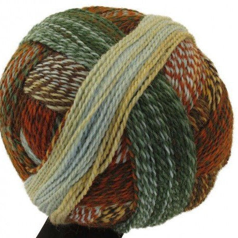 1660 - Arroyo Crazy Zauberball - Schoppel Wolle