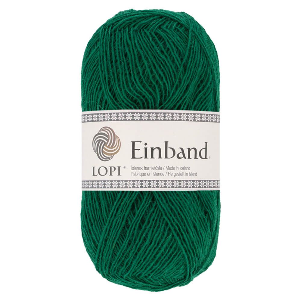 1763 - Vert Forêt Lodband - Einband - Istex - Lopi