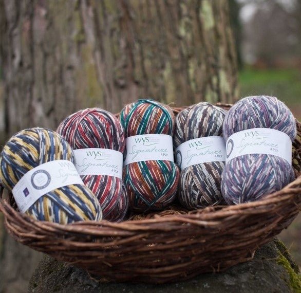 818 - Blue Tit SIGNATURE 4PLY - COUNTRY BIRDS - West Yorkshire Spinners