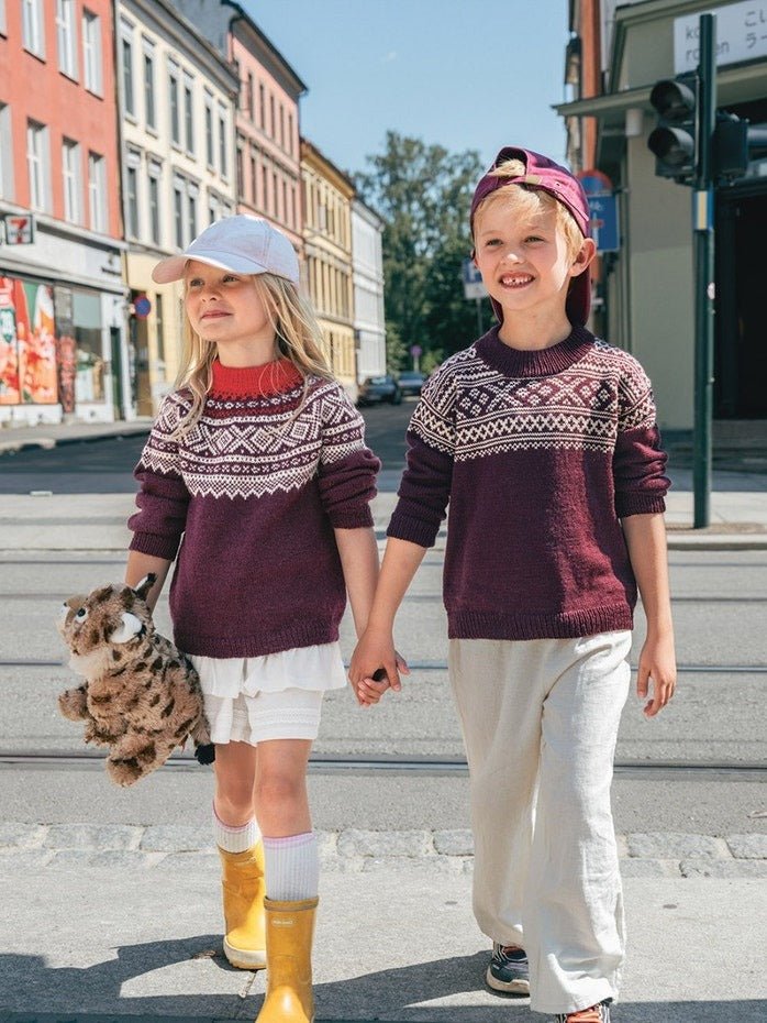 2509 - No. 4a 4b Setesdal Sweater Junior - Sandnes Garn