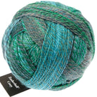 2542 - Cool Botanical Garden Crazy Zauberball - Schoppel Wolle