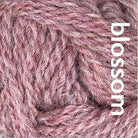 Blossom ARAN - British Breeds - Marie Wallin