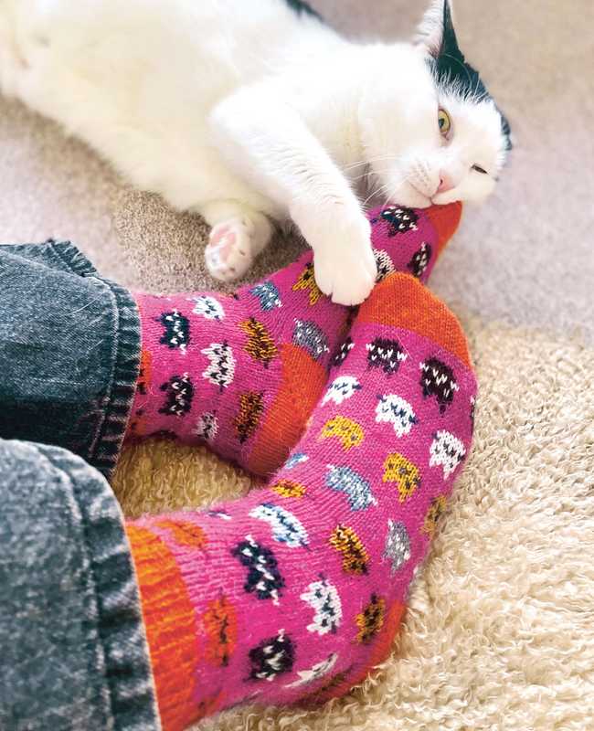 Chaussettes créatives à tricoter - Charlotte Stone - Livre en pré-commande - Charlotte Stone