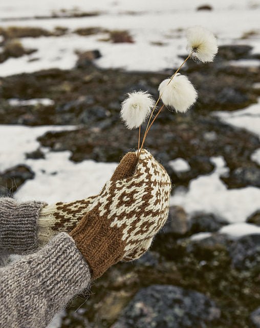 Le Tricot du Grand Froid - Weichien Chan