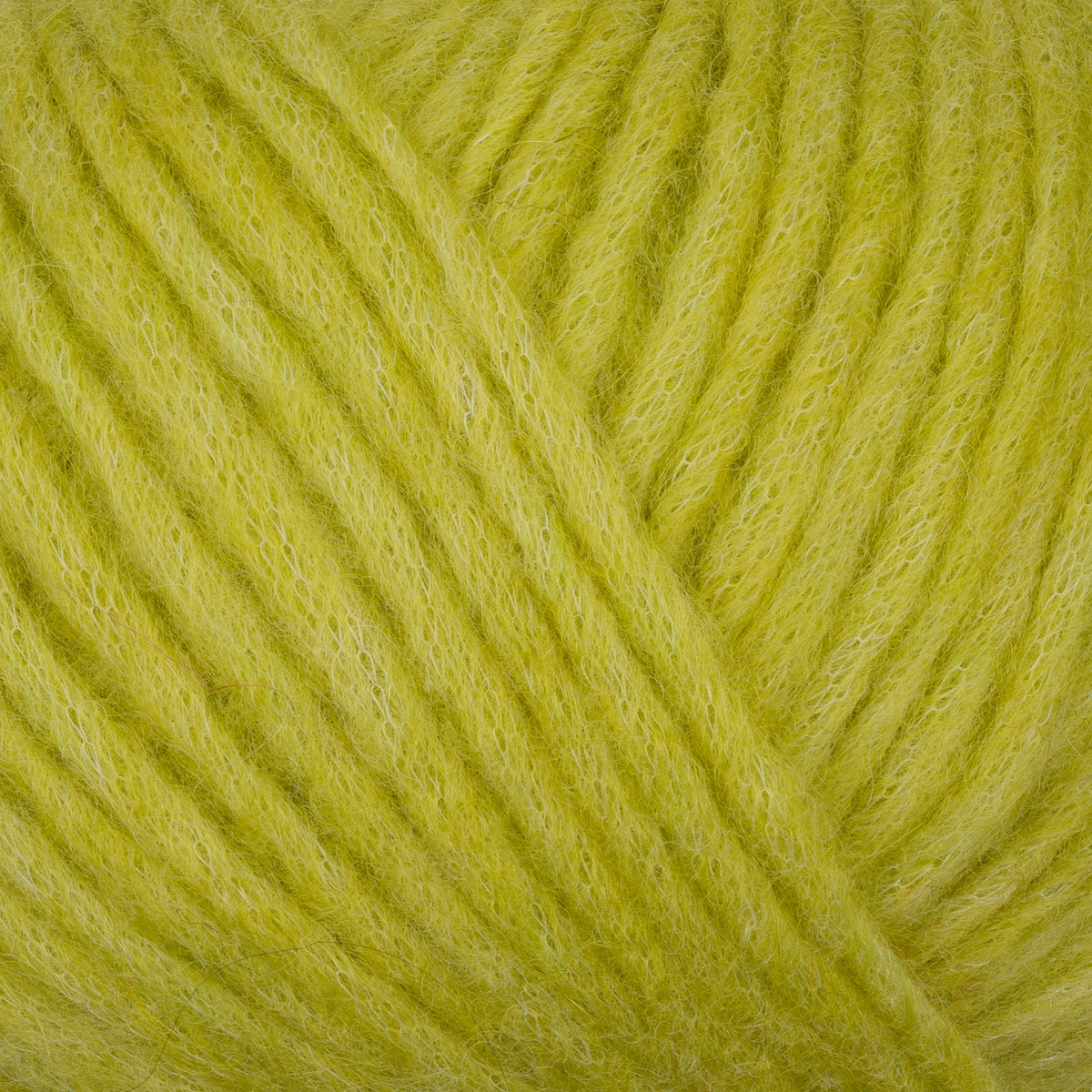 814 - Lime PUNO - Gepard