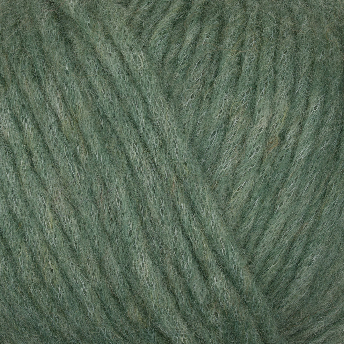 822 - Lichen PUNO - Gepard