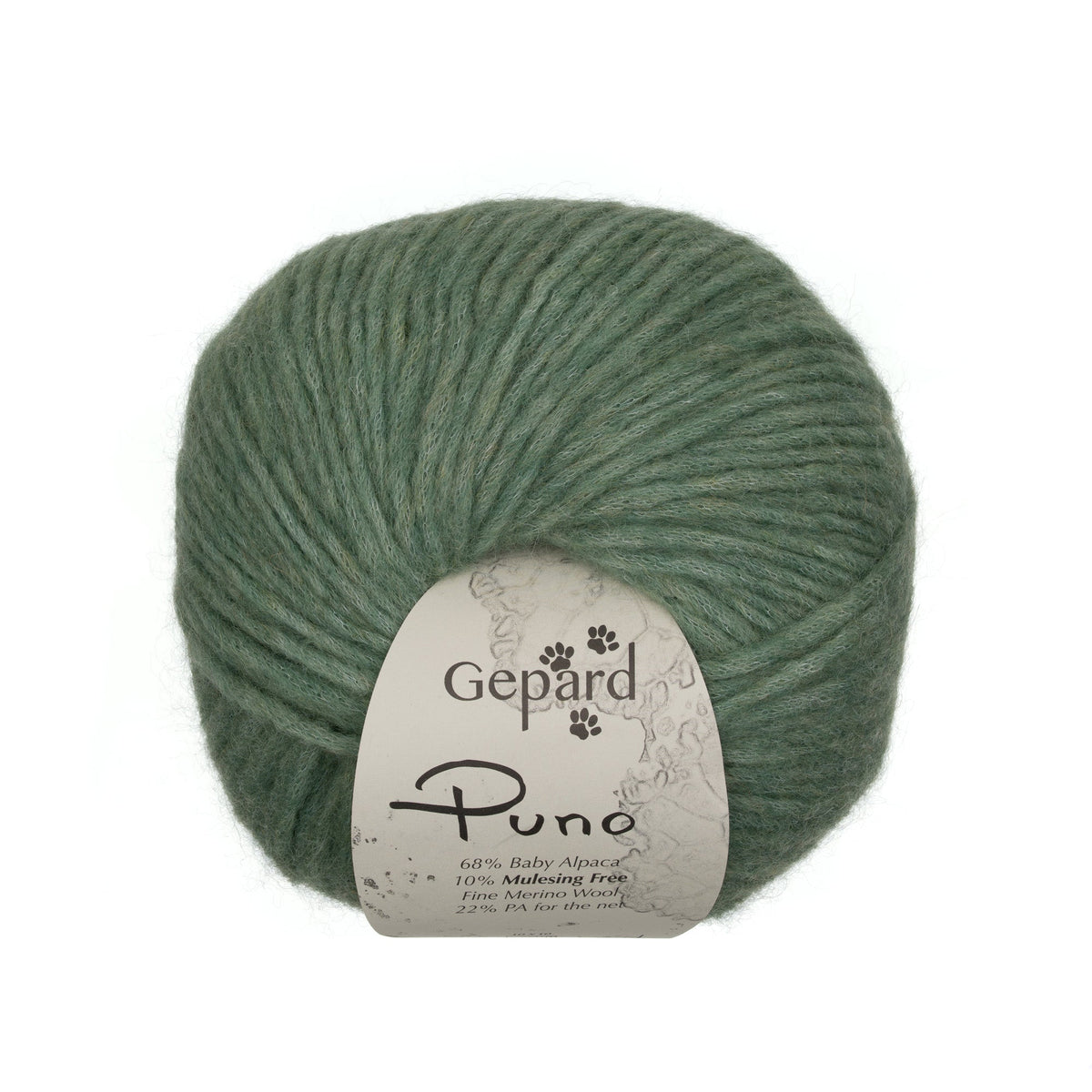 822 - Lichen PUNO - Gepard