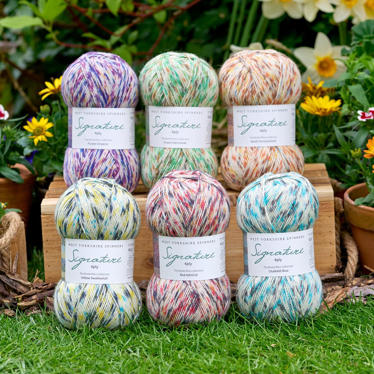 1241 - Red Admiral Signature 4ply Butterflies Collection - West Yorkshire Spinners