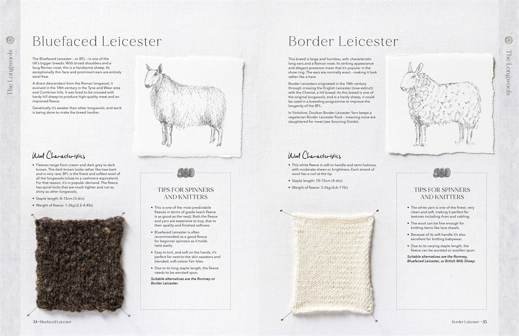 Wonder of Wool - A knitter's guide to pure breed sheep - Justine Lee, Jess Morency - David and Charles