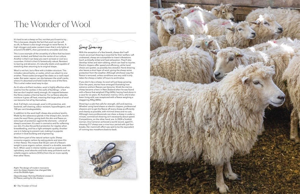Wonder of Wool - A knitter's guide to pure breed sheep - Justine Lee, Jess Morency - David and Charles