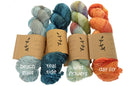 Amber 1 PLY SUPERWASH MERINO FINGERING - Lichen and Lace