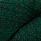 9447 - Vert Anglais 220 HEATHERS - Cascade Yarns