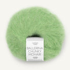 8733 - Spring Green Ballerina Chunky Mohair - Sandnes Garn