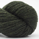 sh008 - vert - fonce Bio Shetland - BC Garn