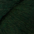 2445 - Vert foncé Heather ECO+ - Cascade Yarns