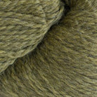 2452 - Vert Anis Heather ECO+ - Cascade Yarns