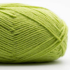 029 - Spring Green EDELWEISS ALPAKA 25GR - Kremke Soul Wool