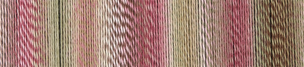 2442 - Virgin Wool Edition 3 - Schoppel Wolle