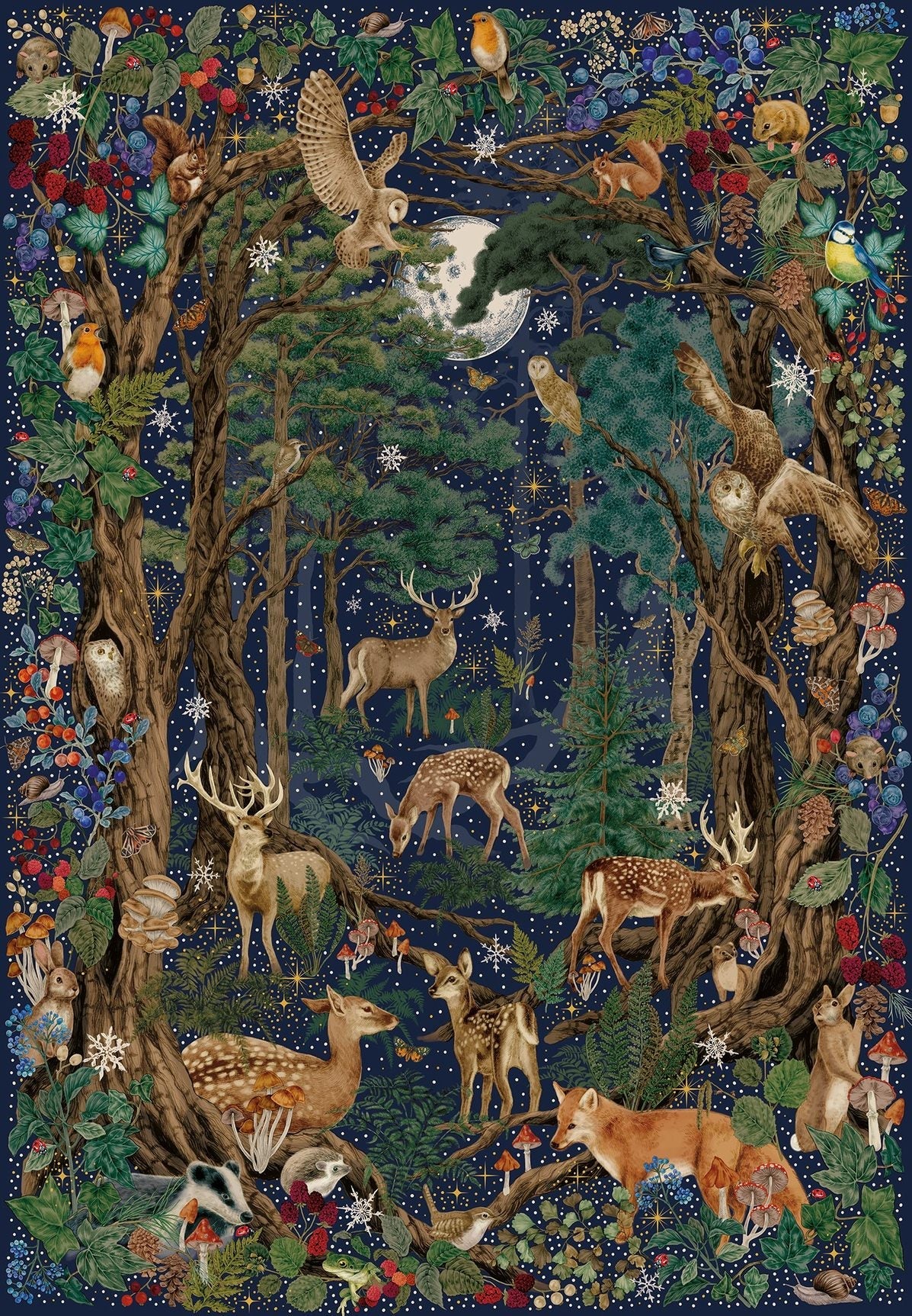 Into the forest - Gibsons