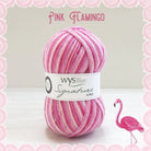 845 - Pink Flamingo KIT CHAUSSETTES - COMPOTE A L'ARC EN CIEL - Laine et Tricot
