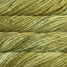 37 - Lettuce MALABRIGO RASTA - Malabrigo
