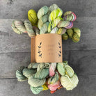 Day 12 (wildflower whimsy) MINI SOCK FADE SETS - Lichen and Lace