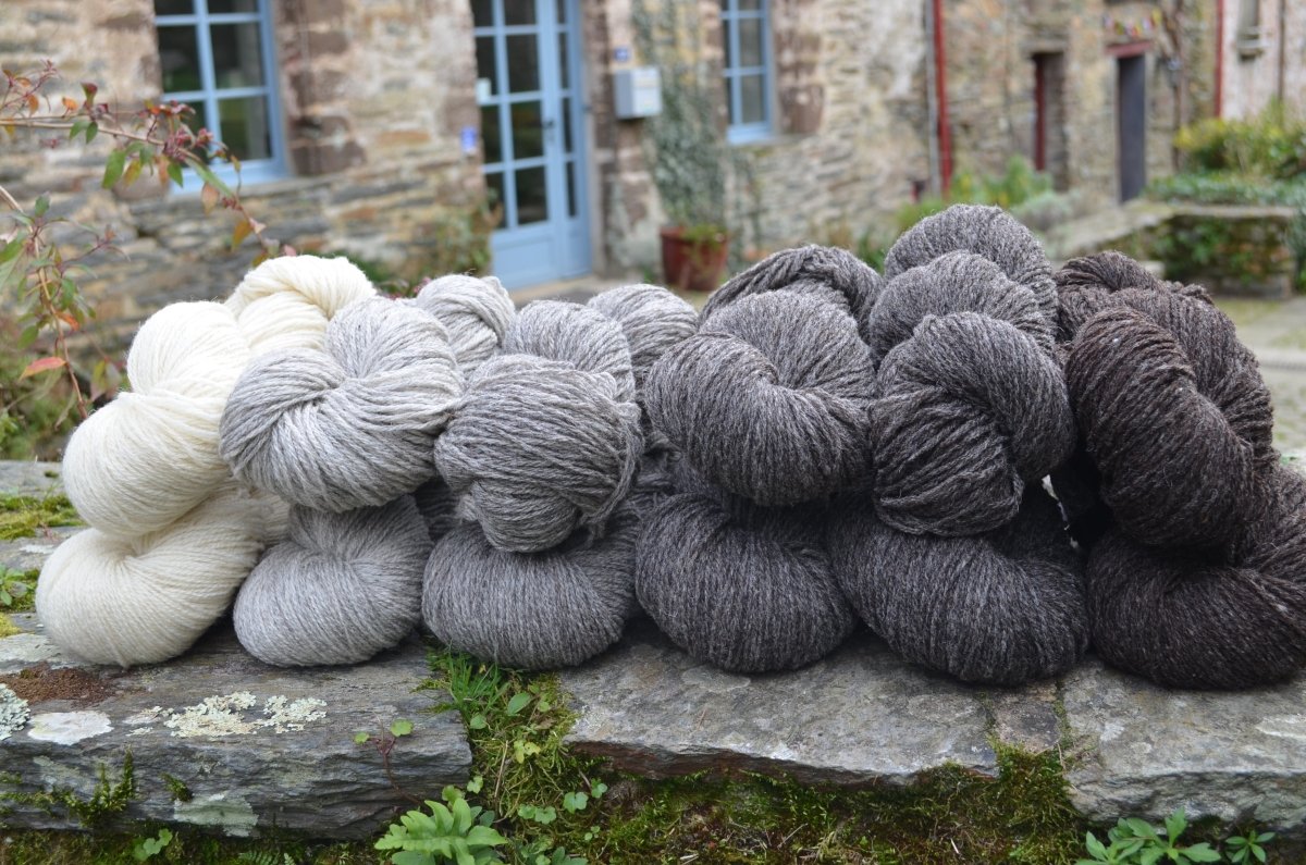 Ecru 50 gr Origine – 3 fils - Les Toisons Bretonnes
