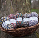 818 - Blue Tit SIGNATURE 4PLY - COUNTRY BIRDS - West Yorkshire Spinners