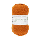 1004 - Amber SIGNATURE 4PLY - HAPPY FEET COLLECTION - West Yorkshire Spinners