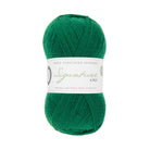 1006 - Spruce SIGNATURE 4PLY - HAPPY FEET COLLECTION - West Yorkshire Spinners