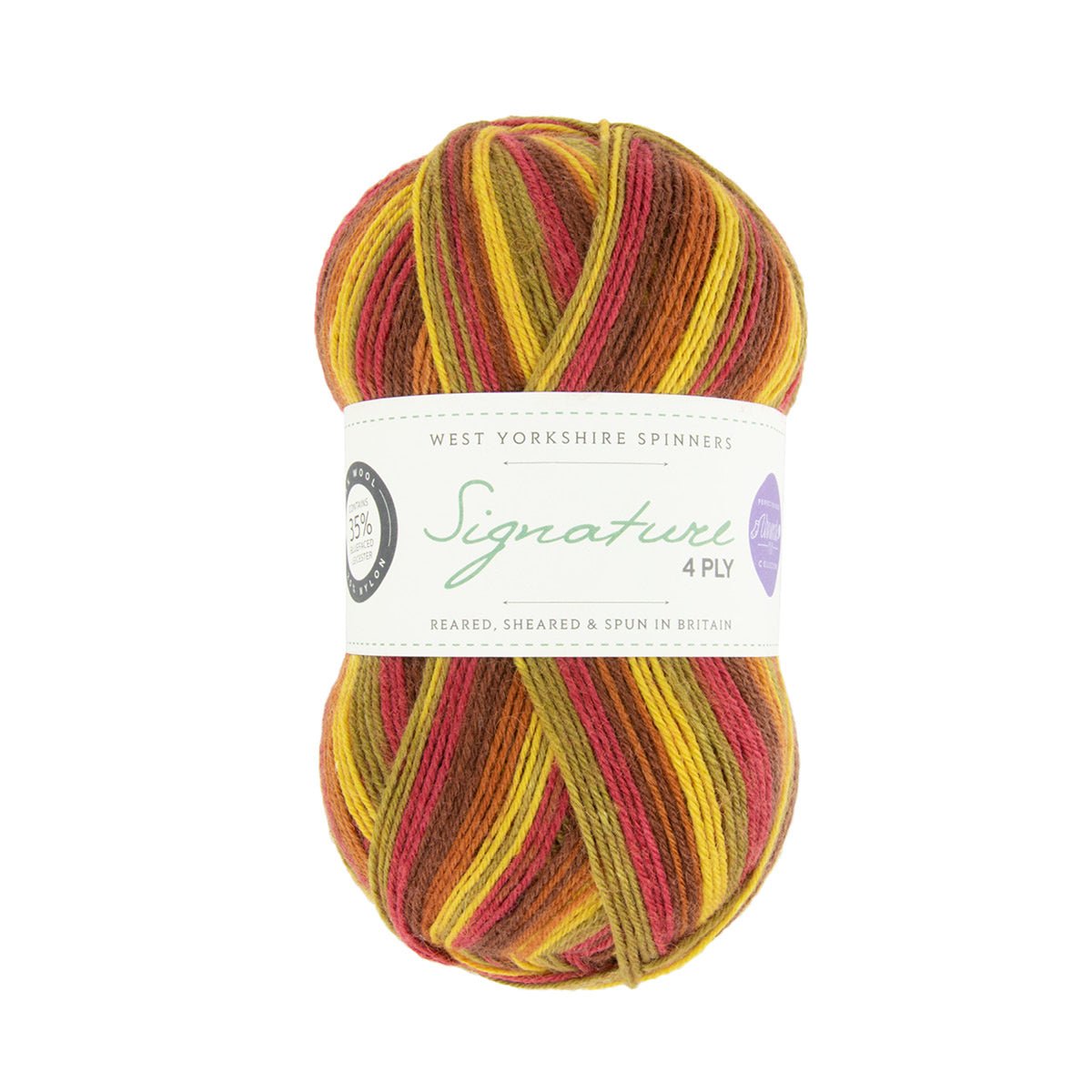 885 - Autumn Leaves SIGNATURE 4PLY - Seasons by Winwick Mum - West Yorkshire Spinners