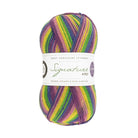 872 - Wildflower SIGNATURE 4PLY – WINWICK MUM COLLECTION - West Yorkshire Spinners