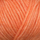 7975 - KORAL SNEFNUG - Camarose