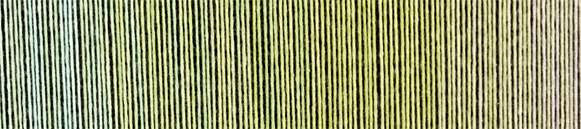 2341 - Greenhorn ZAUBERBALL COTTON BIO - Schoppel Wolle